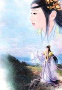 办公室的女人